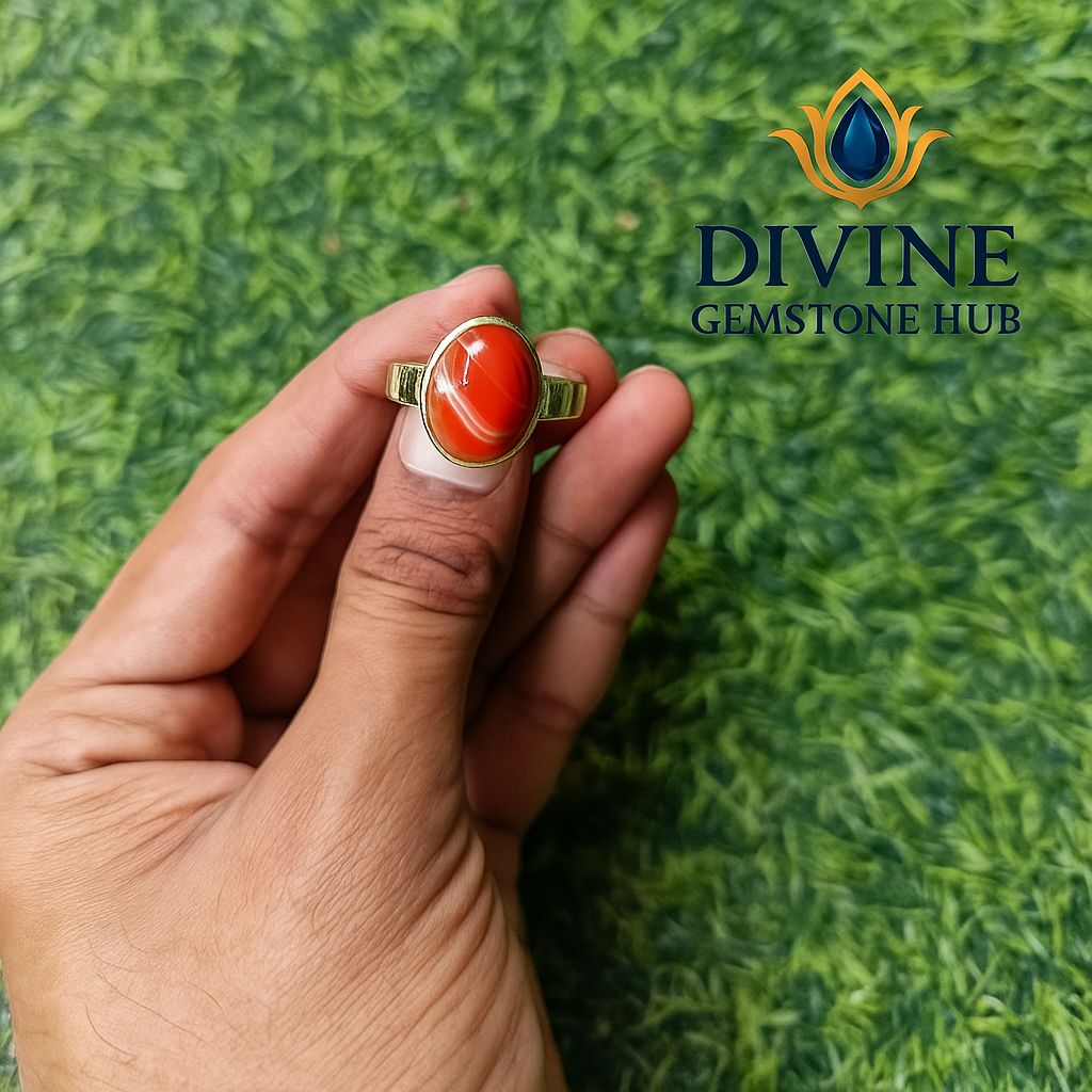 file_00000000822461f6ad19dc33952f022d