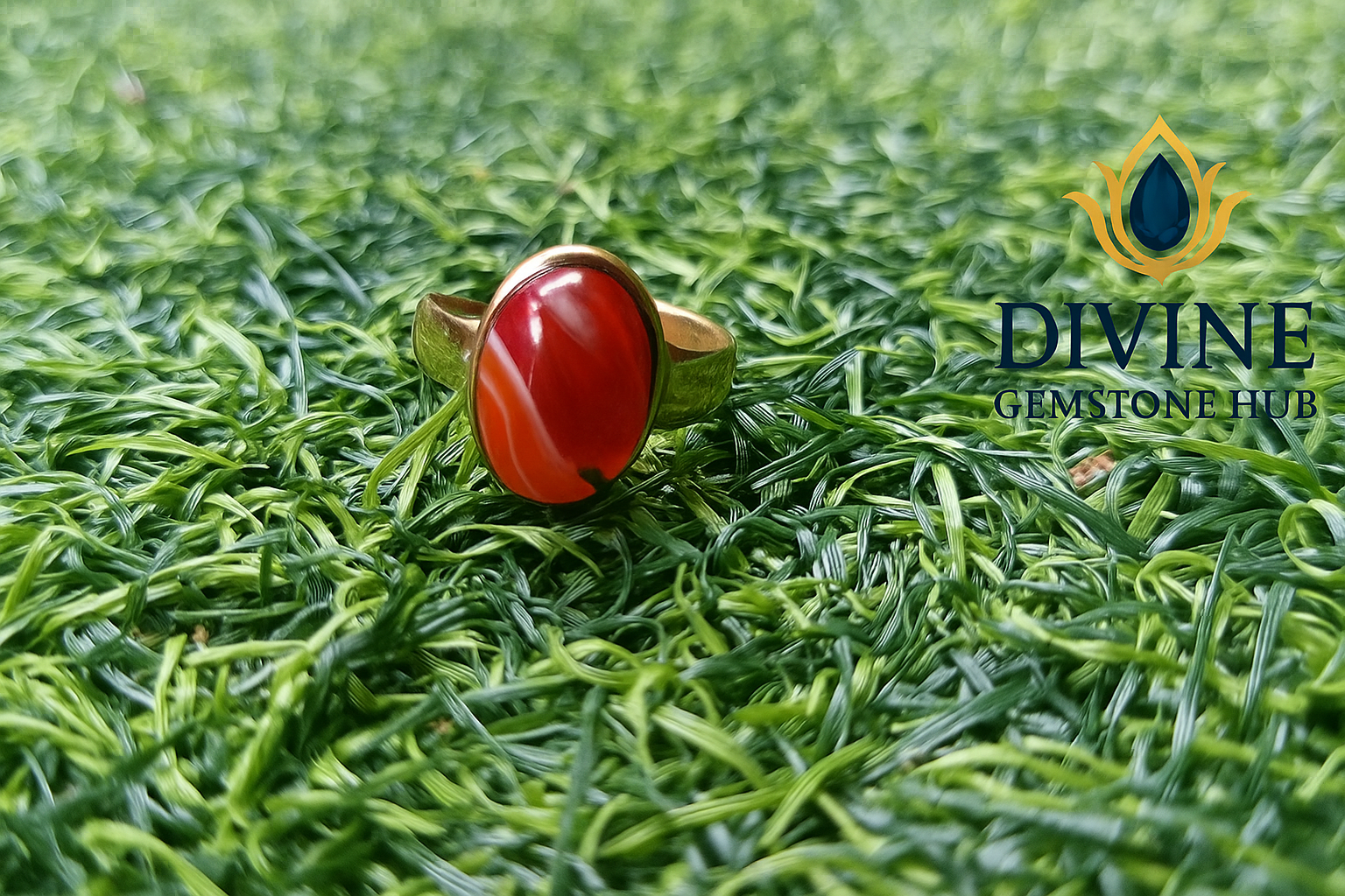 file_0000000098106207af8cd296dde5eb78